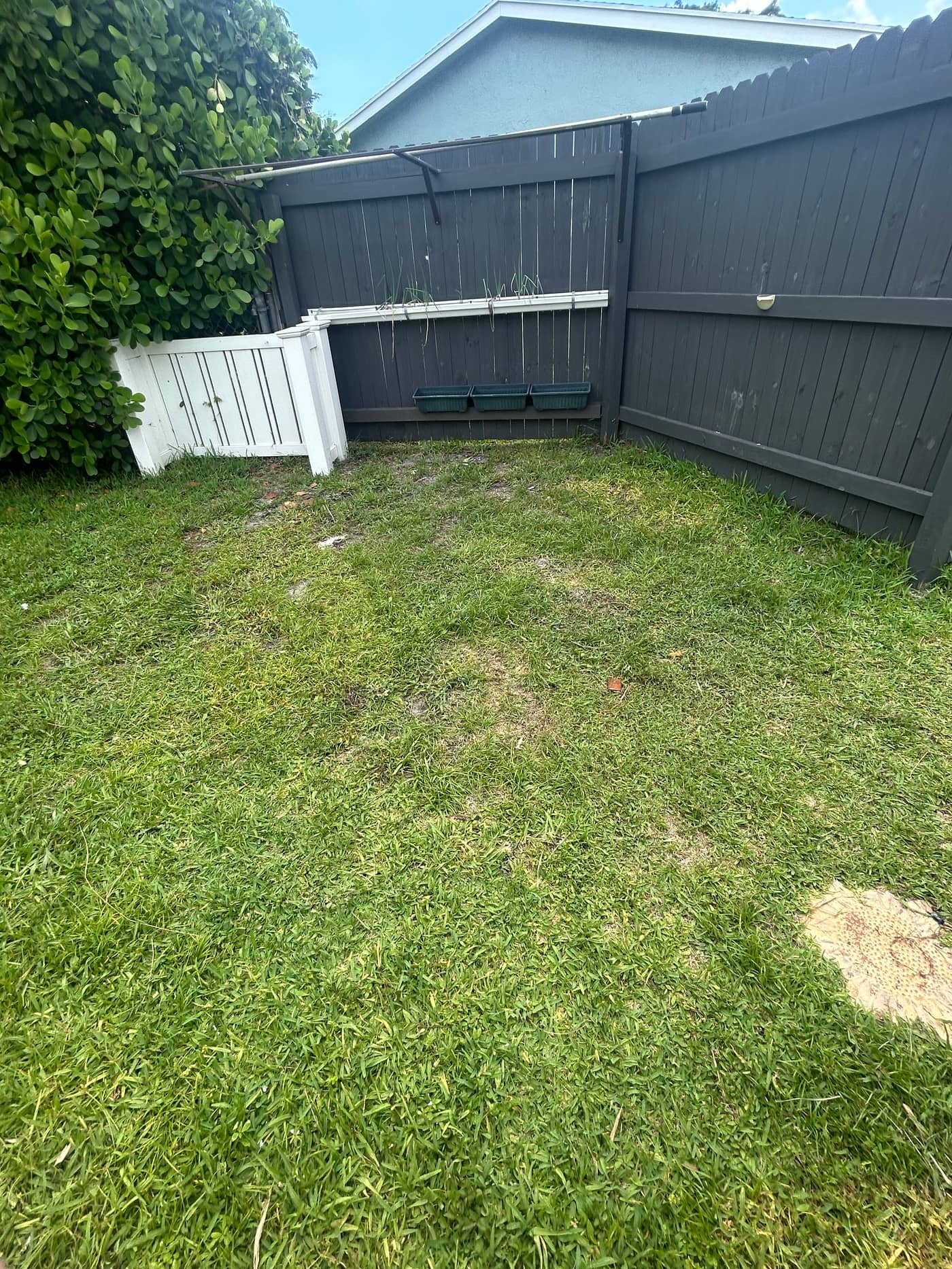 The same corner of the lawn with everything gone, showing clear grass and the fence line